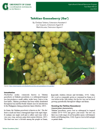Click here to view a Tahitian Gooseberry fact sheet