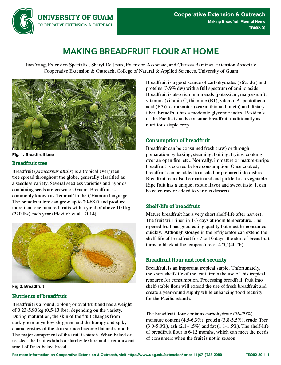 Click here to view the Making Breadfruit Flour at Home publication