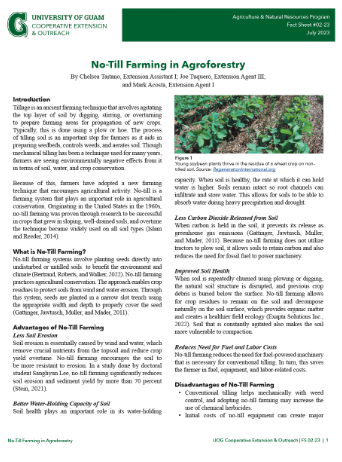 Click here to view a No-Till Farming in Agroforestry fact sheet
