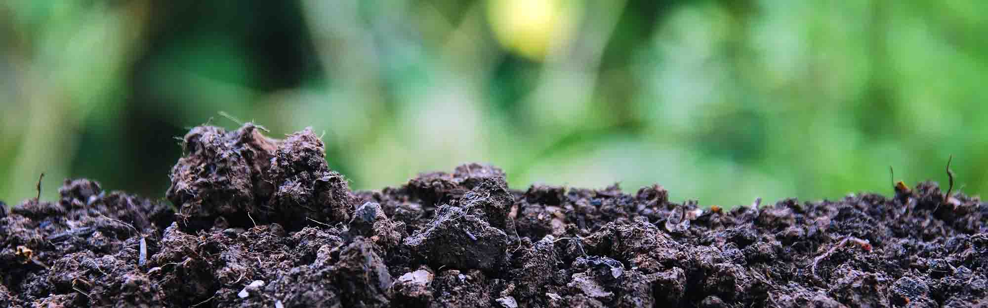 Image of soil