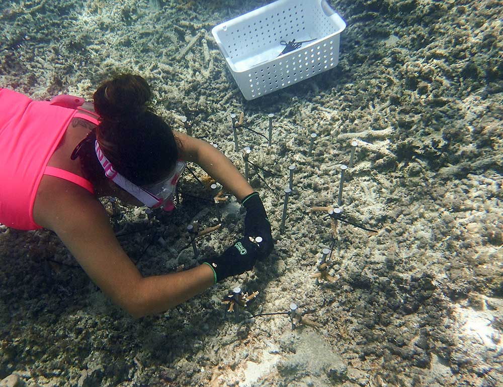 University of Guam