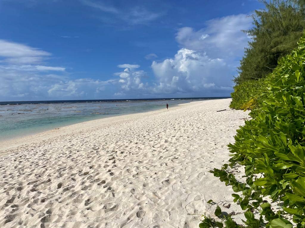 UOG students: Apply for summer internship at Guam National Wildlife Refuge at Ritidian An open view of Ritidian Beach during the day