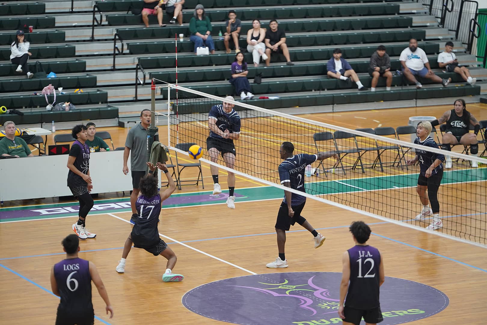 Volleyball
