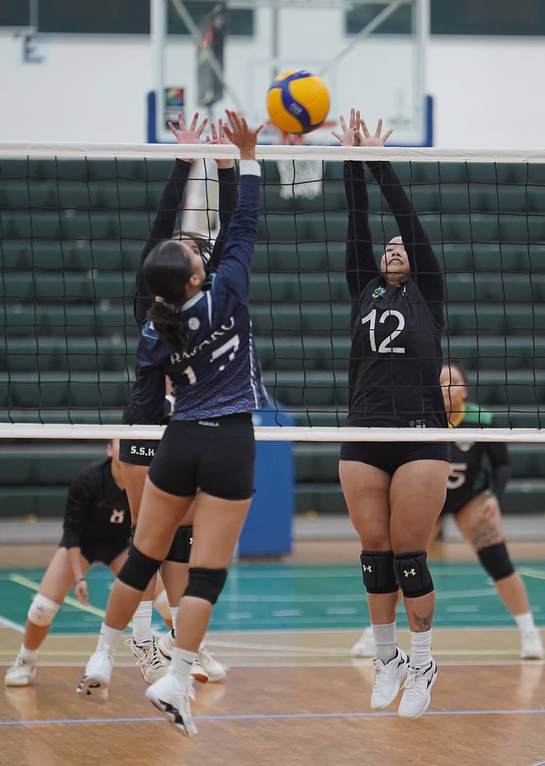 Volleyball