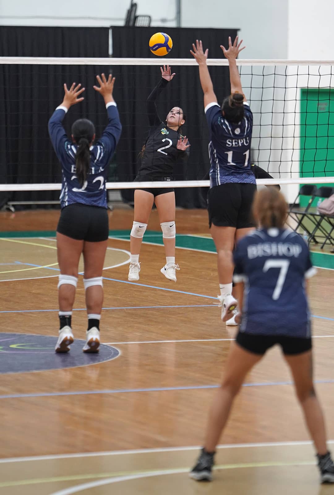Volleyball
