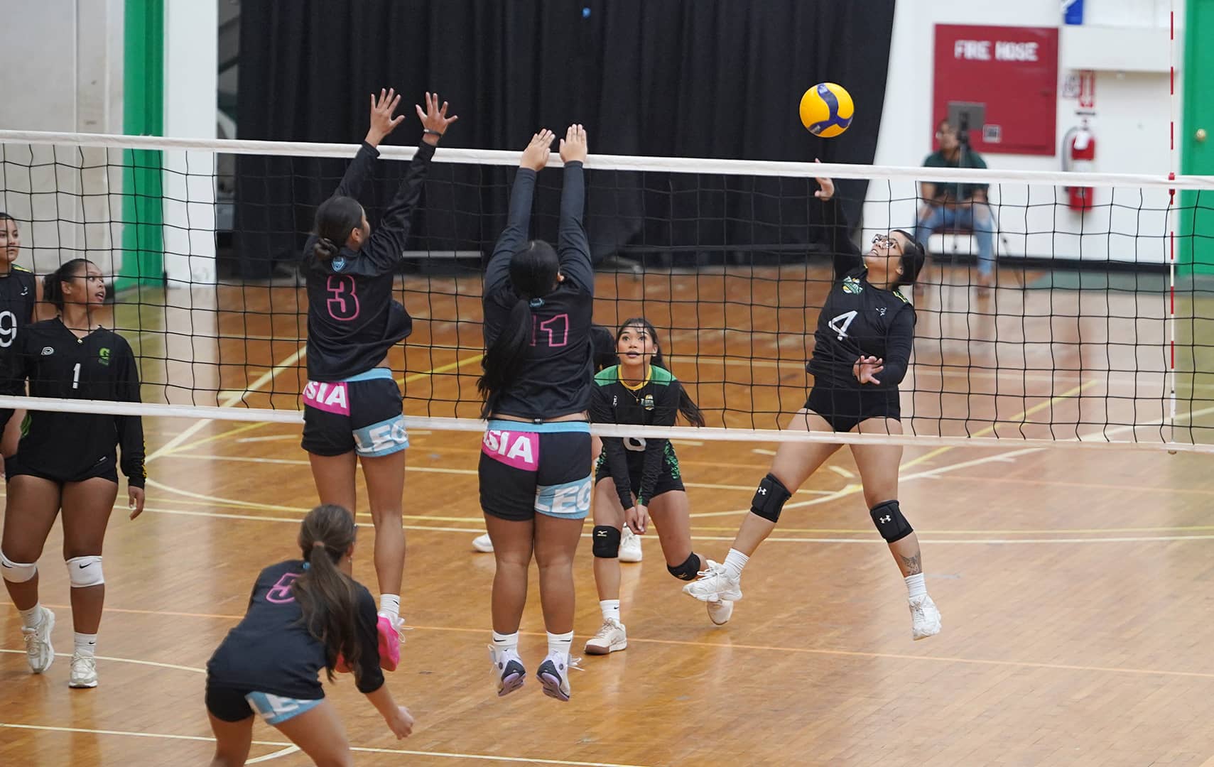 Volleyball