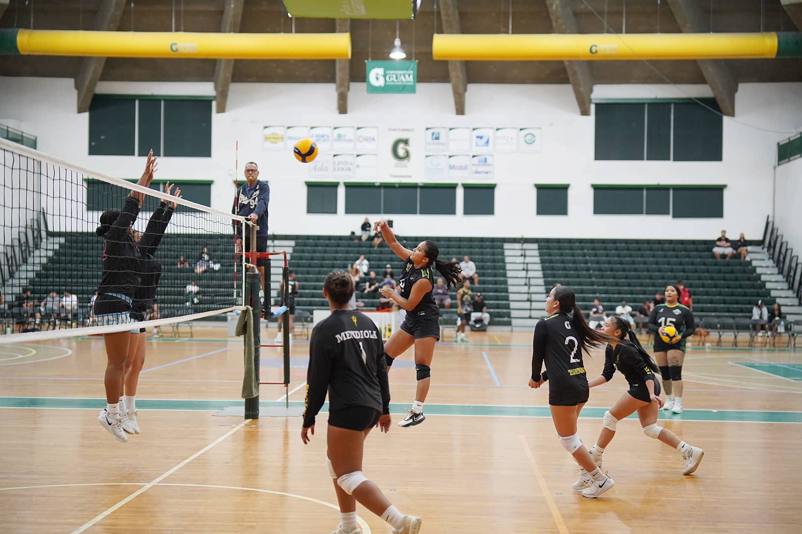 Volleyball