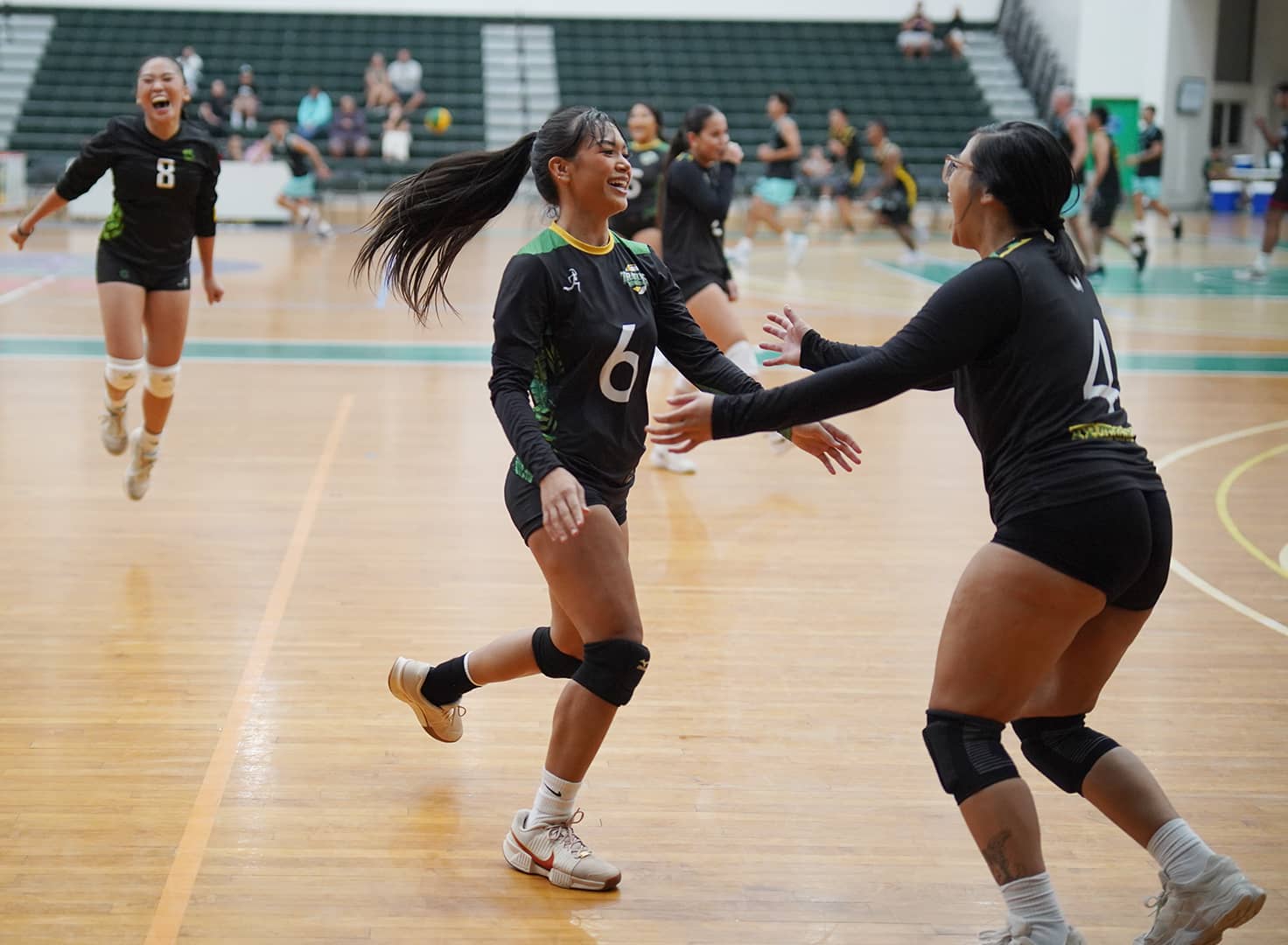 Volleyball