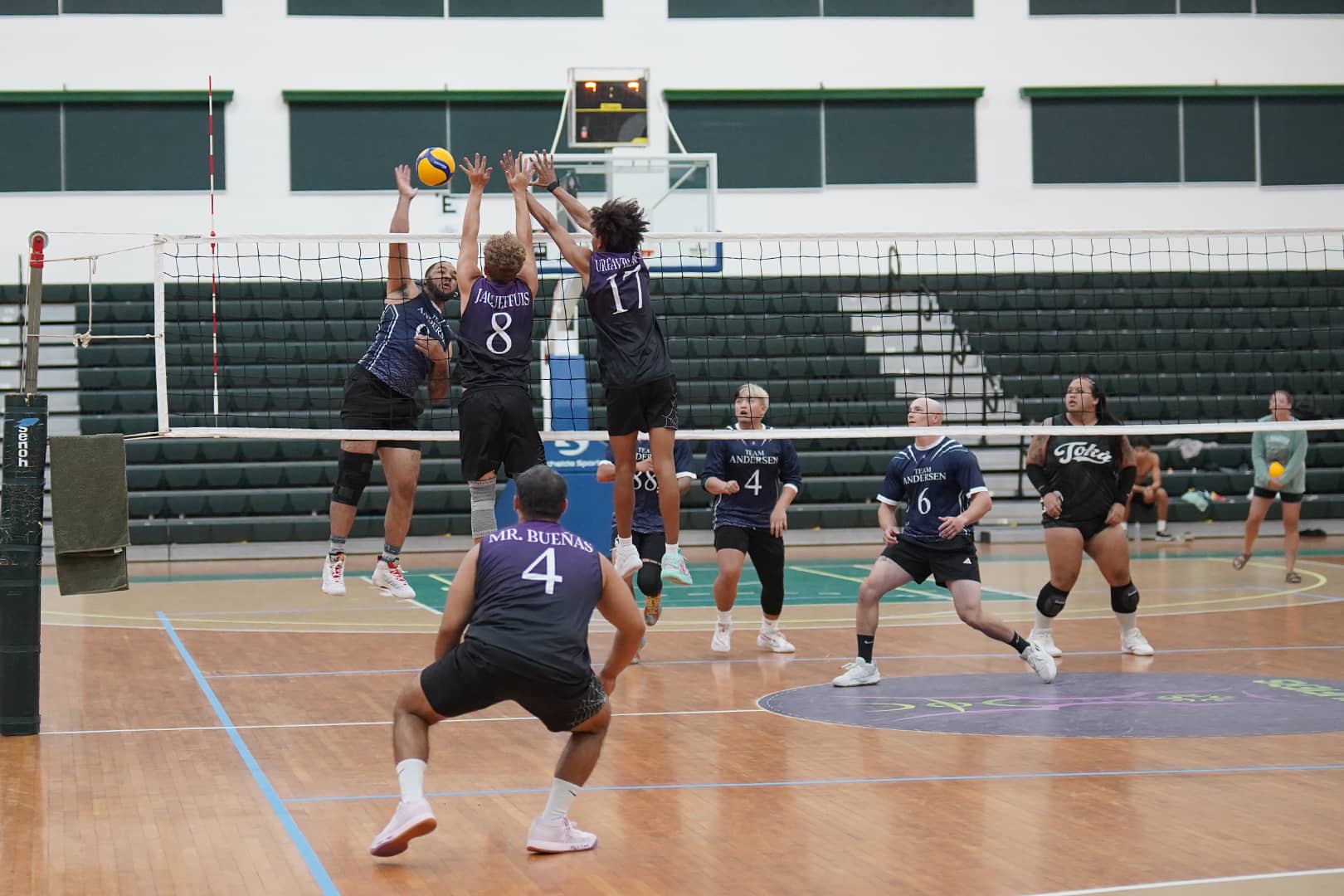 Volleyball