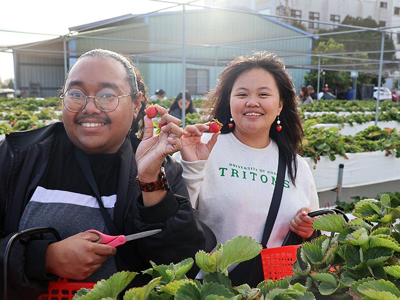 Photo of two women picking strawberries